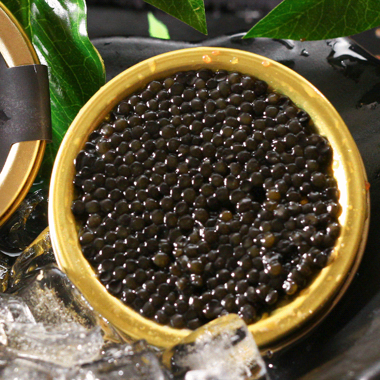Beluga caviar from Russia-LUN