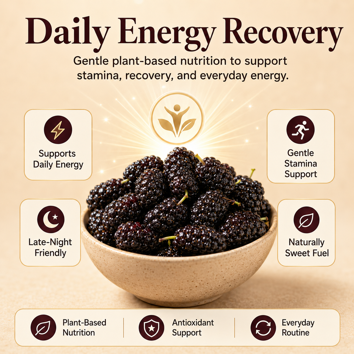 Dried Mulberries – Nourish Liver & Kidney, Darken Hair, Perfect for Night Owls-LUN