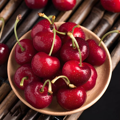 🍒Black Cherry Plant Kit – American & Chilean Varieties for Home Garden -LUN